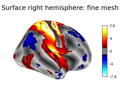 Surface right hemisphere: fine mesh