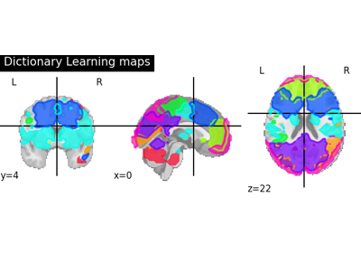 Regions extraction using dictionary learning and functional connectomes