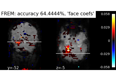 Decoding with FREM: face vs house object recognition