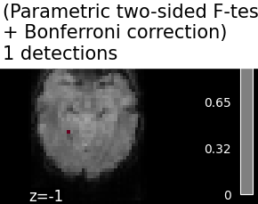 ../_images/sphx_glr_plot_haxby_mass_univariate_001.png