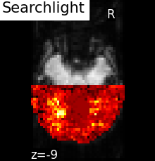 ../_images/sphx_glr_plot_haxby_searchlight_001.png