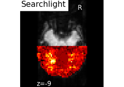 Searchlight analysis of face vs house recognition