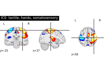 NeuroVault cross-study ICA maps.